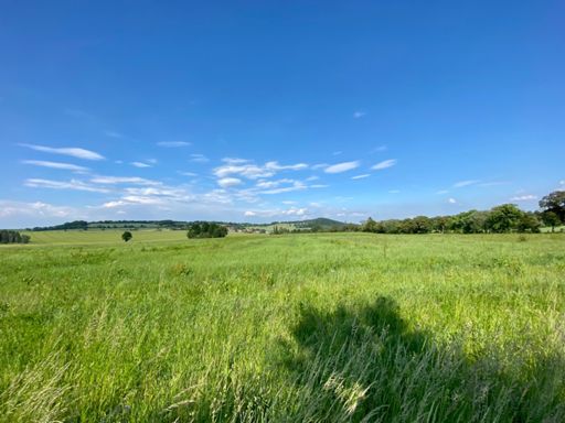 Blick zurück auf diesen majestätischen Giganten
