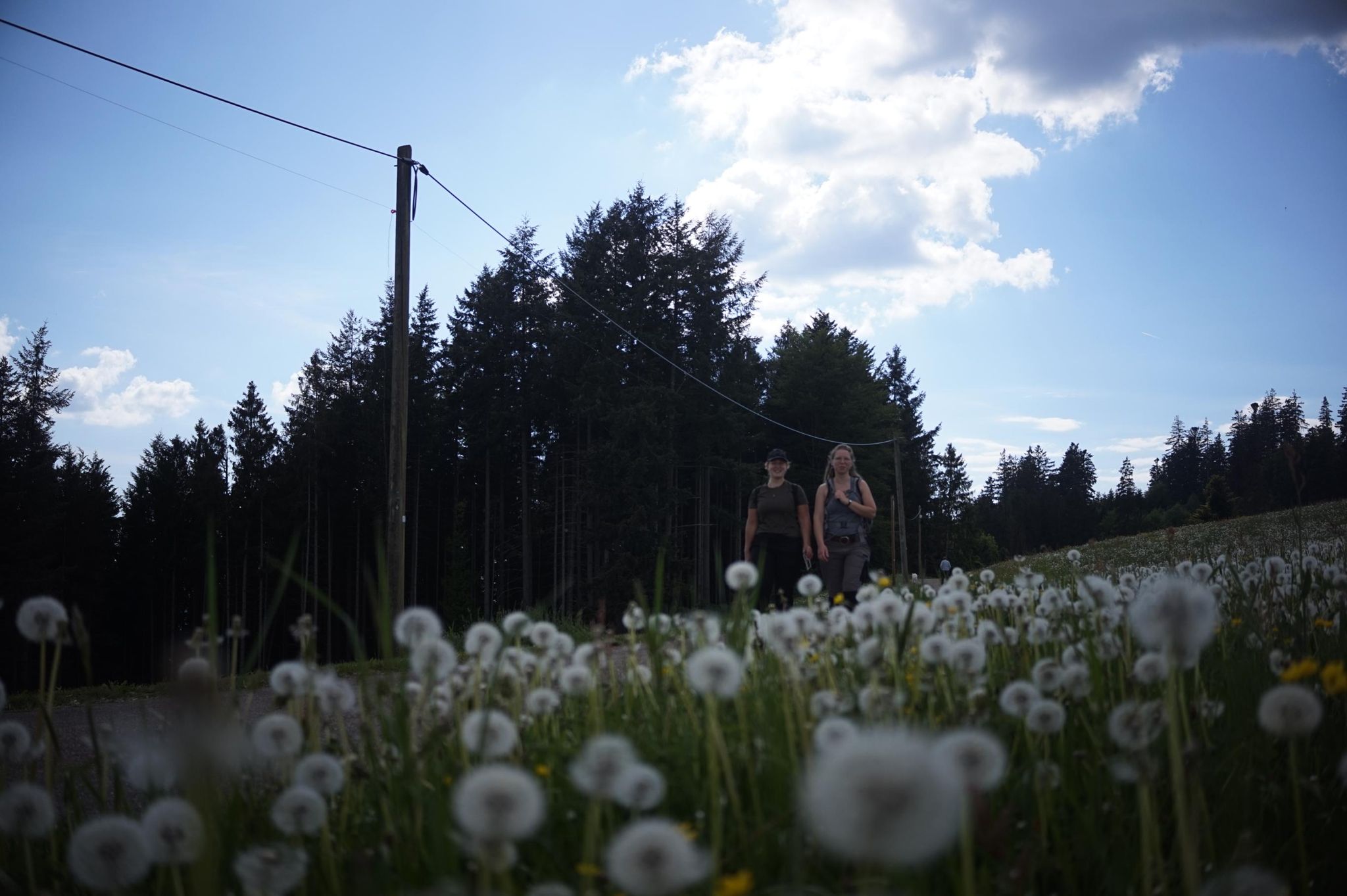 Activity photo