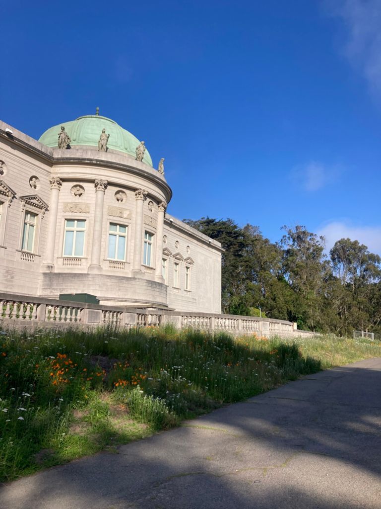 Butterlap (Presidio & Golden Gate Park) photo 31