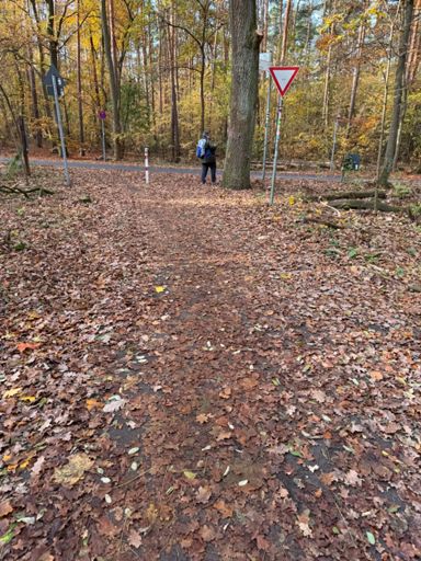 Radweg kaum sichtbar, Rand ist oft von Wildschweinen aufgewühlt. Da geht man mit großer Wahrscheinlichkeit direkt über den Lenker, sie man mal unverhofft vom Weg abkommen 