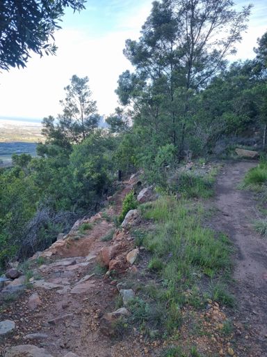 Down here on the left..