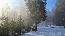 Un petit Donon avec de la neige, du soleil et une mer de nuages SVP