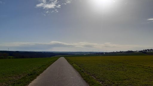 Radweg zwischen Frankweiler und Beltheim.