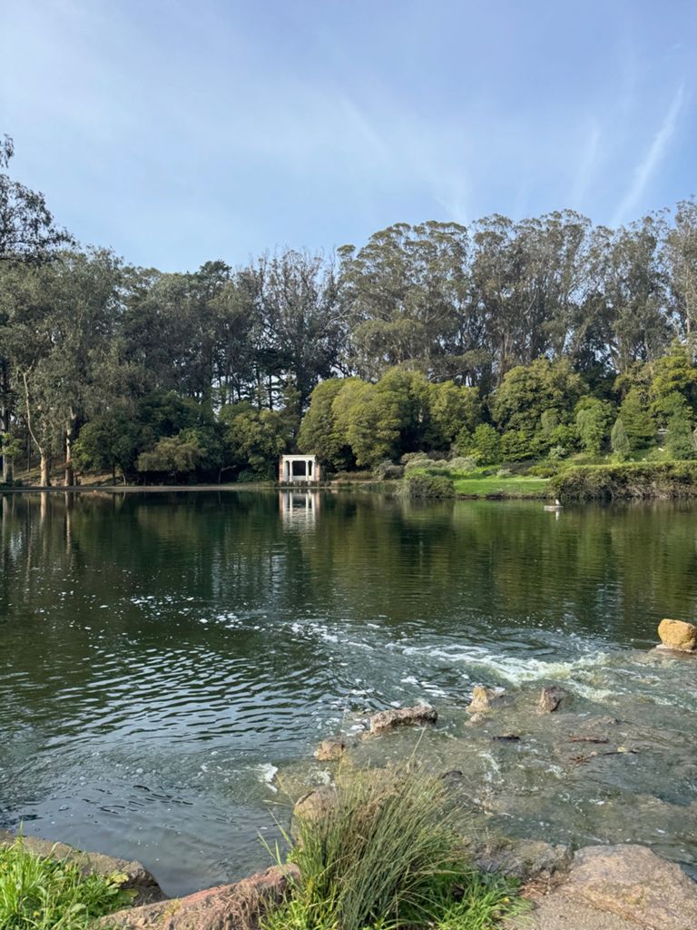 Butterlap (Presidio & Golden Gate Park) photo 189
