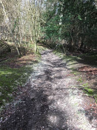 Prob 20%. I was walking. Downhill.