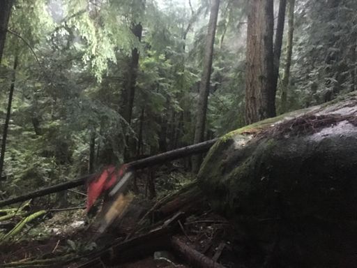 Dylan with a big rock drop and my poor camera skills...