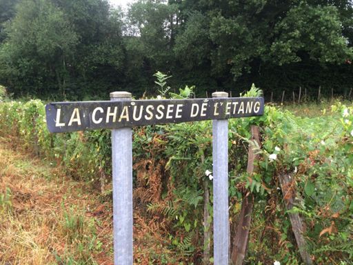 Et non pas l'inverse