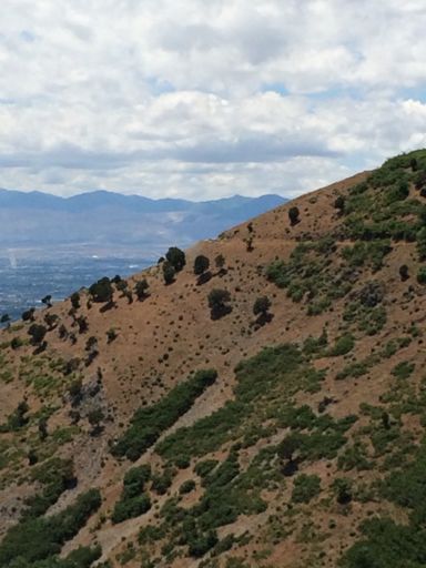 Yeah, that trail. There was a seven-year-old with 20” tires riding it today.