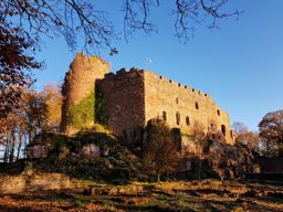 Sortie TRA au Mont Ste Odile