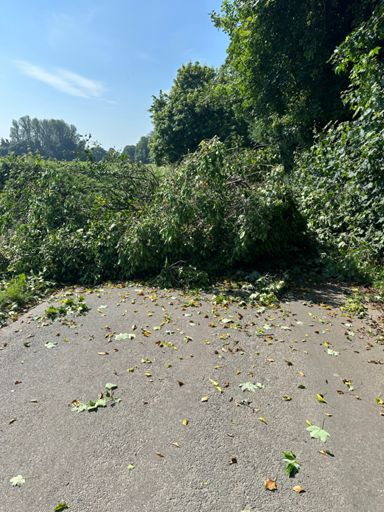 Guess I'm going around then...