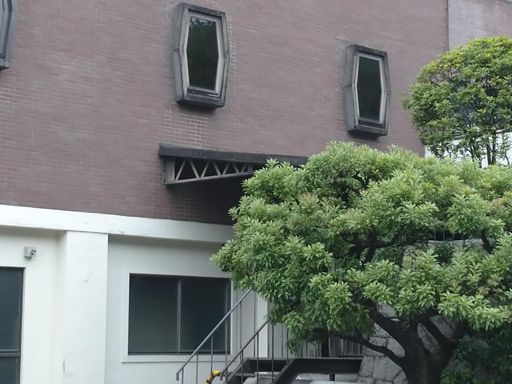 わぁ 樽形の窓枠だ