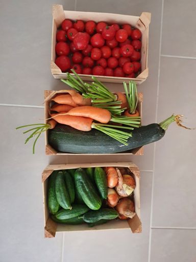 home grown vegetables. And bio, no chemicals used at all! ;-)