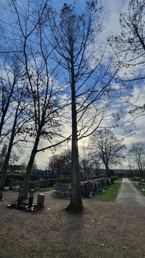 Kleinostheim_ID24193_UM_Friedhofstr._Friedhof