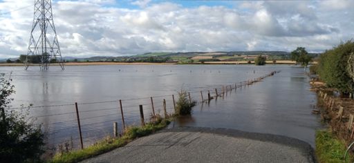 Isla Bridge in distance just beyond the tree.