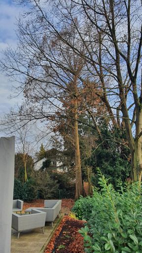 Seligenstadt_ID24197_UM_Raabestr. 7