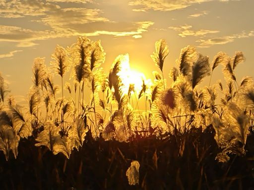 防災ステーションごか　夕焼け