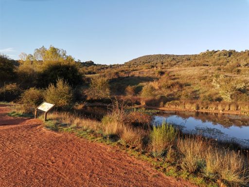 Amanecer en el Lago Sumido