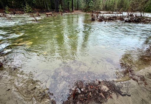 Founders trail straight across this flood. Water as high as spring runoff.
