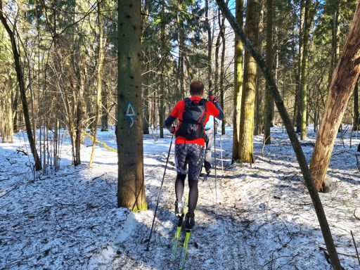 "Дорога в Лавру".