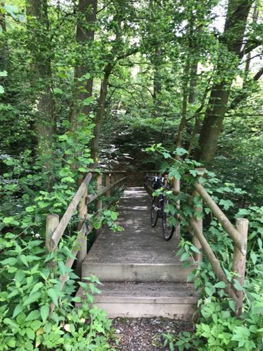 Eingang segmentfreie Zone