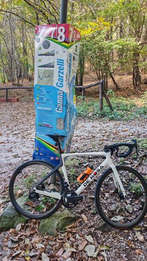 www.strava.com