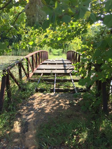 Not ideal biking conditions