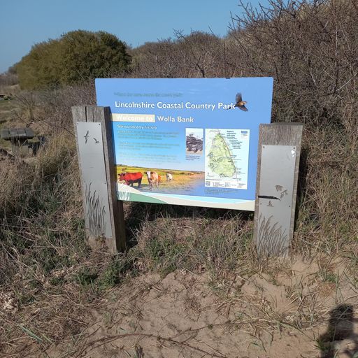 Coastal Sunshie again .