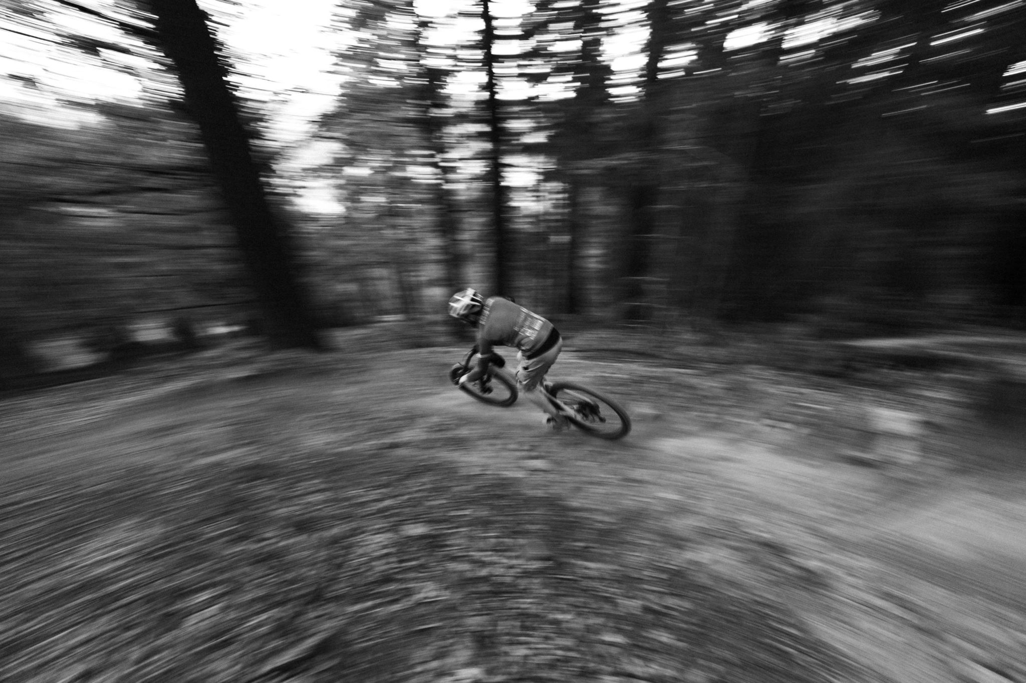 Activity photo