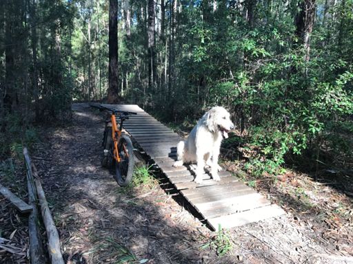 You can have a go after me