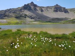 Lac de Lignin en VTT