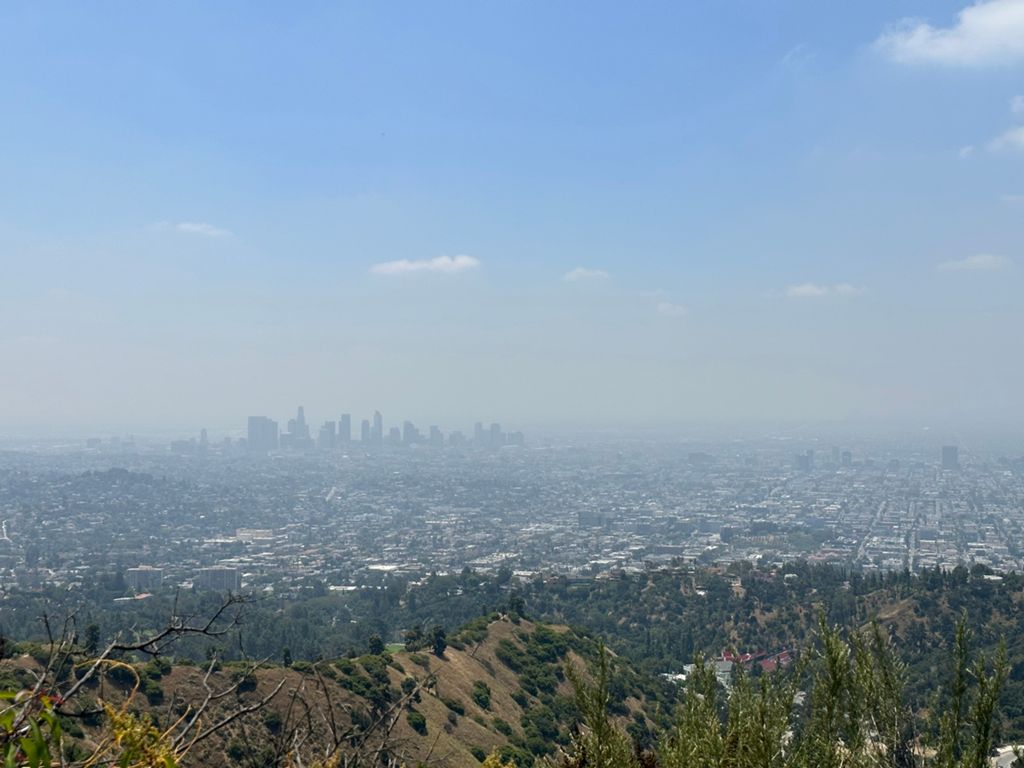 NBB run - Lake Hollywood: фото 109