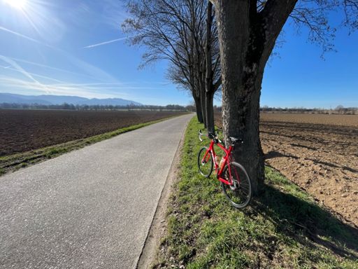 Perfektes Wetter ☀️😎