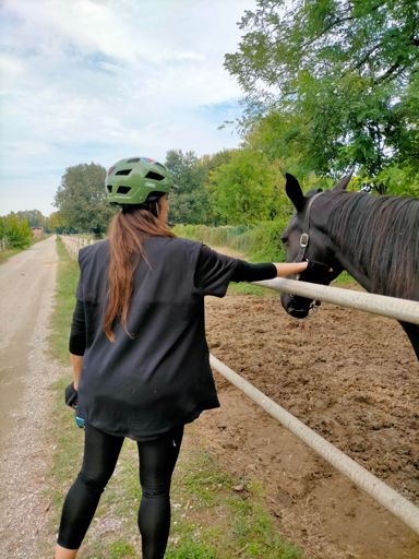 Quelli che vanno d'accordo