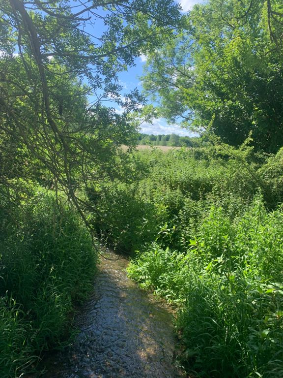 Coggeshall Rd, Kelvedon RETURN 70.3 km Cycling Route on Strava