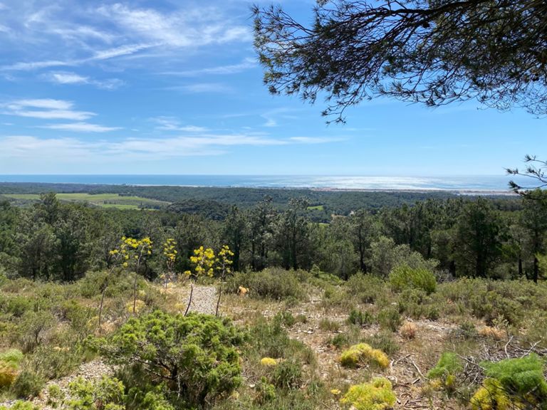 Itinéraire de course à pied 10.0 km Running Route on Strava