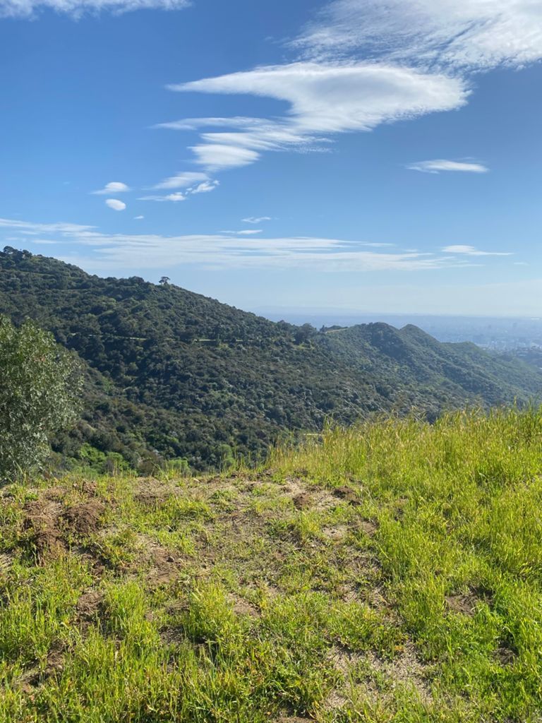 NBB run - Lake Hollywood photo 123