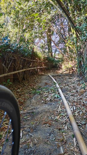 短いけど廃道チックな道