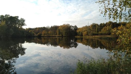 Пруд Блюдечко