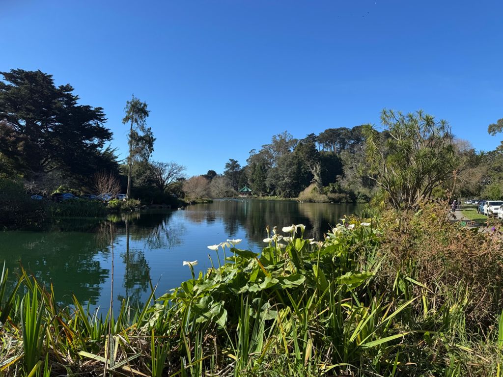 Butterlap (Presidio & Golden Gate Park)的照片 184