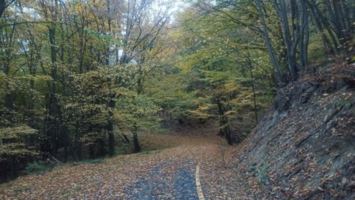 A teraz kadial?🤔🙂