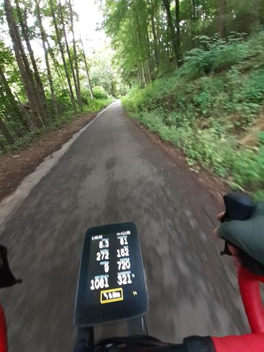 Karotten voraus! (Man muss genau gucken...)