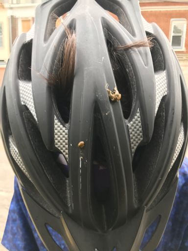 James got pooped on and somehow none of it ended up in his hair