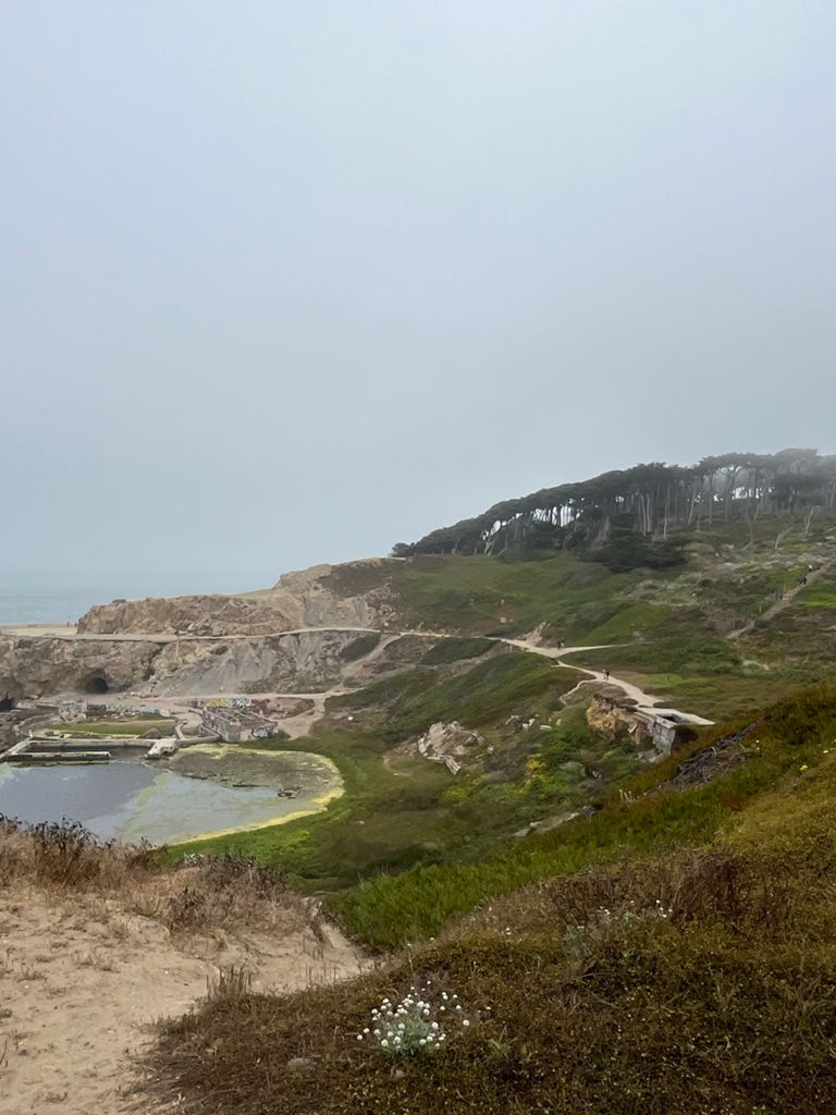 Butterlap (Presidio & Golden Gate Park) photo 190