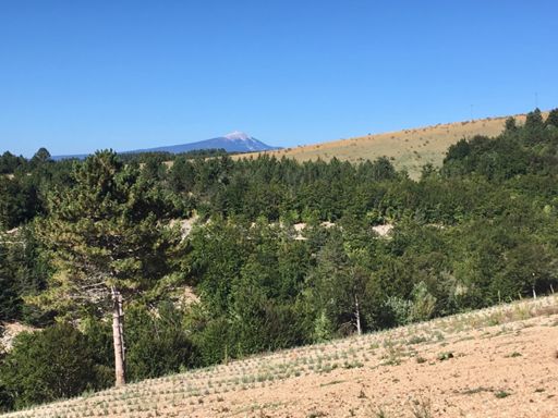 Petite vue sur le ventoux 🤩