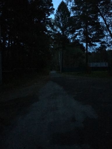 ...ука где дорога? Как тут 30 ехать ? 🤦‍♂️