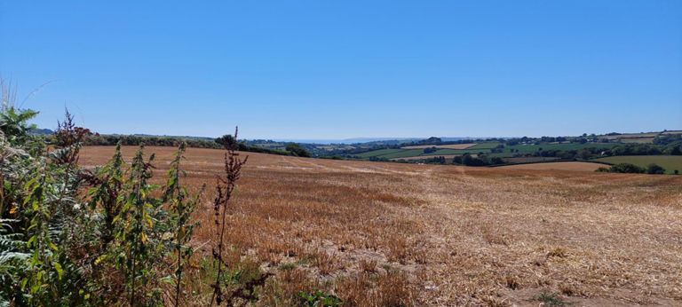 From some miles out of Lostwithiel, looking south west, perhaps towards St Blazey