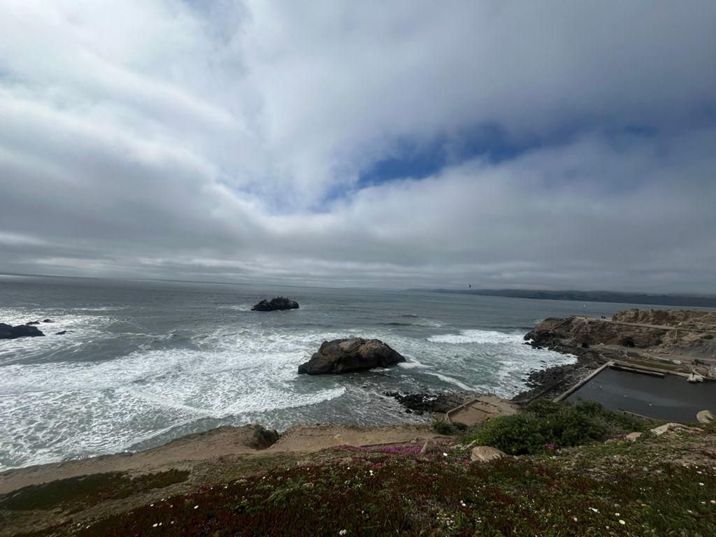 Butterlap (Presidio & Golden Gate Park) photo 177