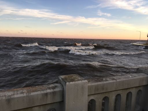 Lake is a little angry this morning.