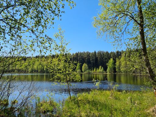 Озеро Ковязское.