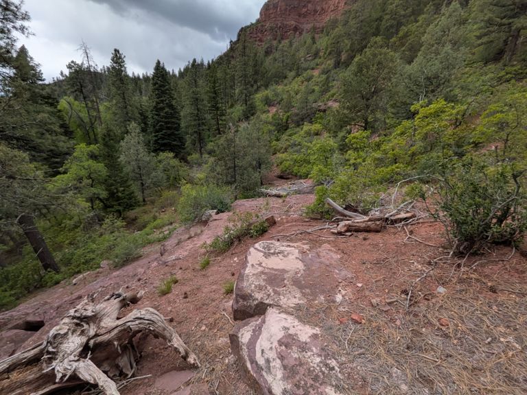 scouting for next trail project